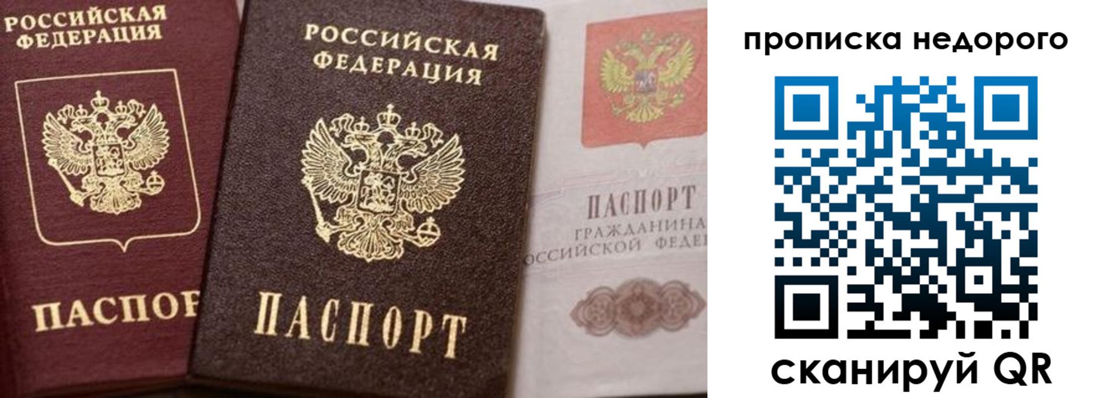 временная регистрация надежно в Приморском крае